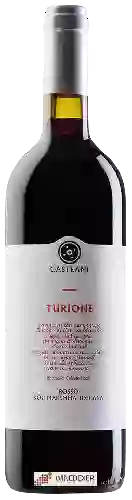 Domaine Tenuta Casteani - Turione