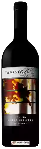 Domaine Tenuta L'Illuminata - Tebavio Barolo