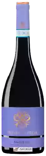 Domaine Tenuta la Presa - Bardolino