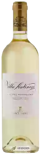 Domaine Tenuta Monteloro - Villa Antinori Pinot Bianco