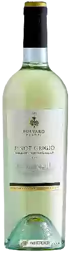 Domaine Tenuta Polvaro - Pinot Grigio