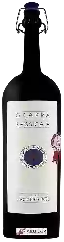 Domaine Tenuta San Guido - Grappa Sassicaia