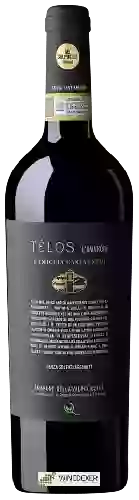 Domaine Tenuta Sant'Antonio - Télos L'Amarone Amarone della Valpolicella