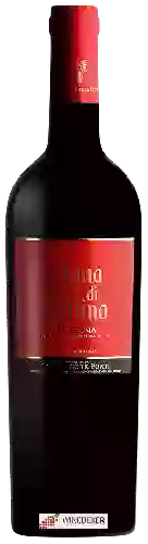 Domaine Tenuta Sette Ponti - Vigna di Pallino Toscana