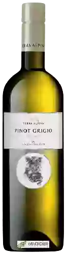 Domaine Terra Alpina - Pinot Grigio