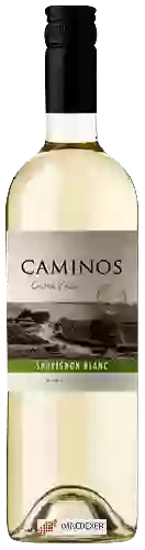 Domaine Terra Andina - Caminos Sauvignon Blanc