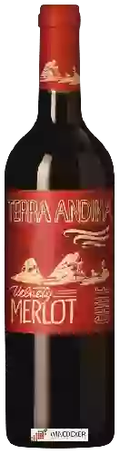 Domaine Terra Andina - Merlot Velvety