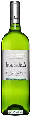 Domaine Terra Burdigala - La Vigne d'Argent