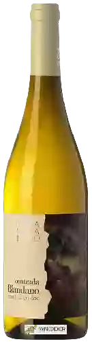 Domaine Terra Costantino - Contrada Blandano Etna Blanc