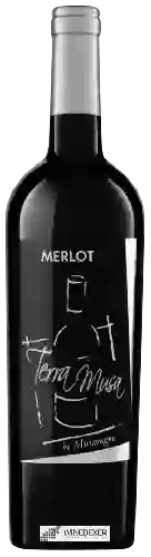 Domaine Terra Musa - Merlot