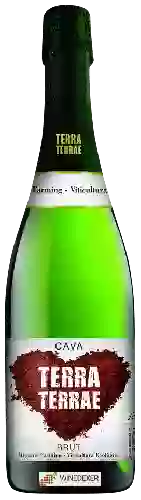 Domaine Terra Terrae - Cava Brut