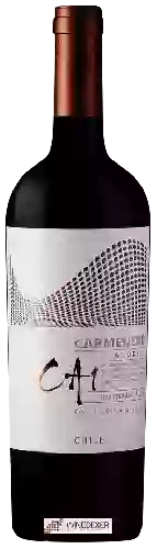 Domaine TerraNoble - CA1 Andes Carmenère