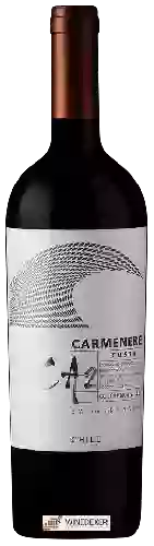 Domaine TerraNoble - CA2 Costa Carmenère