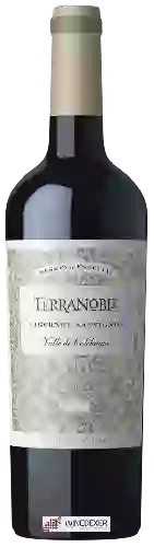 Domaine TerraNoble - Cabernet Sauvignon Reserva Especial