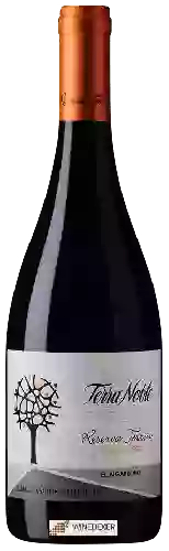 Domaine TerraNoble - Reserva Terroir Pinot Noir (El Algarrobo)