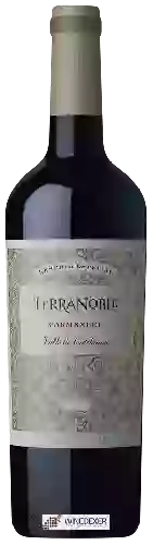 Domaine TerraNoble - Reserva Especial Carménère