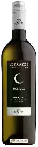 Domaine Terrazze della Luna - Nosiola