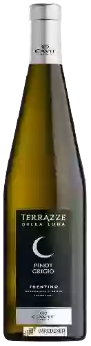 Domaine Terrazze della Luna - Pinot Grigio