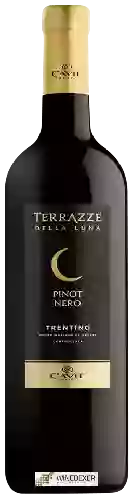 Domaine Terrazze della Luna - Pinot Nero