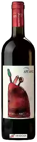 Domaine Terre Apuane - Formarossa