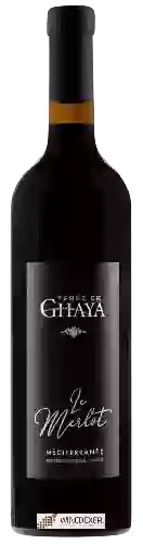 Domaine Terre de Ghaya - Le Merlot