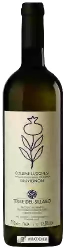 Domaine Terre del Sillabo - Sauvignon