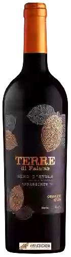 Domaine Terre di Faiano - Nero d'Avola Appassimento Organic