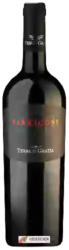 Domaine Terre di Gratia