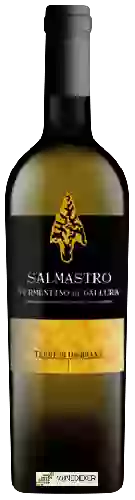 Domaine Terre di Ossidiana - Salmastro Vermentino di Gallura