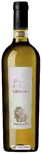 Domaine Terre di Valter - Greco di Tufo