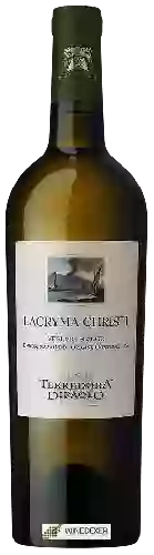 Domaine Terredora - Vesuvio Lacryma Christi Bianco