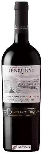 Domaine Terrunyo - Cabernet Sauvignon