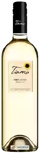 Domaine Tiamo - Pinot Grigio