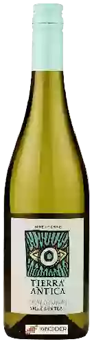 Domaine Tierra Antica - Chardonnay