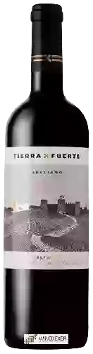 Domaine Tierra Fuerte - Graciano