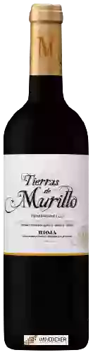 Bodegas San Esteban - Tierras de Murillo Tempranillo