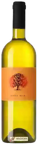 Domaine Tilia Estate - Pinot Gris