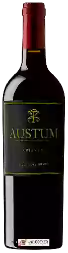 Bodegas Tionio - Austum Crianza