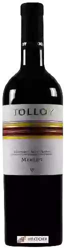 Domaine Tolloy - Merlot