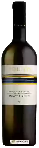 Domaine Tolloy - Pinot Grigio