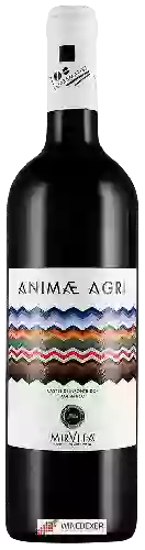 Domaine Tor de' Falchi - Animae Agri Aglianico