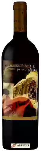 Domaine Tridente - Prieto Picudo