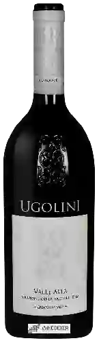 Domaine Ugolini - Valle Alta Amarone della Valpolicella