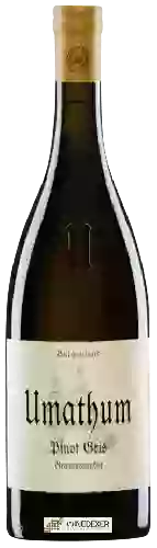 Domaine Umathum - Pinot Gris