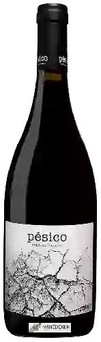 Domaine Dominio del Urogallo - Pésico Tinto