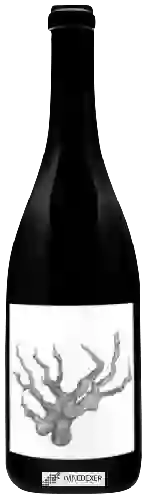 Domaine Broc Cellars - Carignan