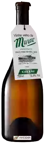 Bodegas Carrau - Tradicao Carrau Museu Gewürztraminer