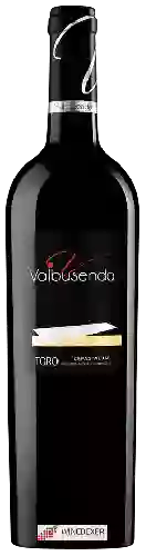 Domaine Valbusenda - Cepas Viejas