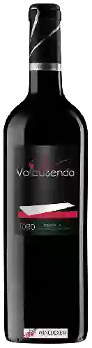 Domaine Valbusenda - Reserva