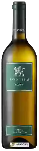 Domaine Valcarlos - Fortius Blanco